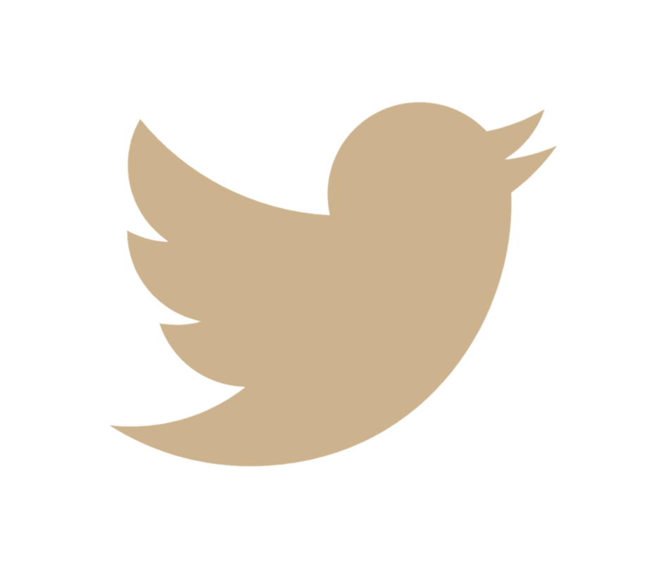 twitter link